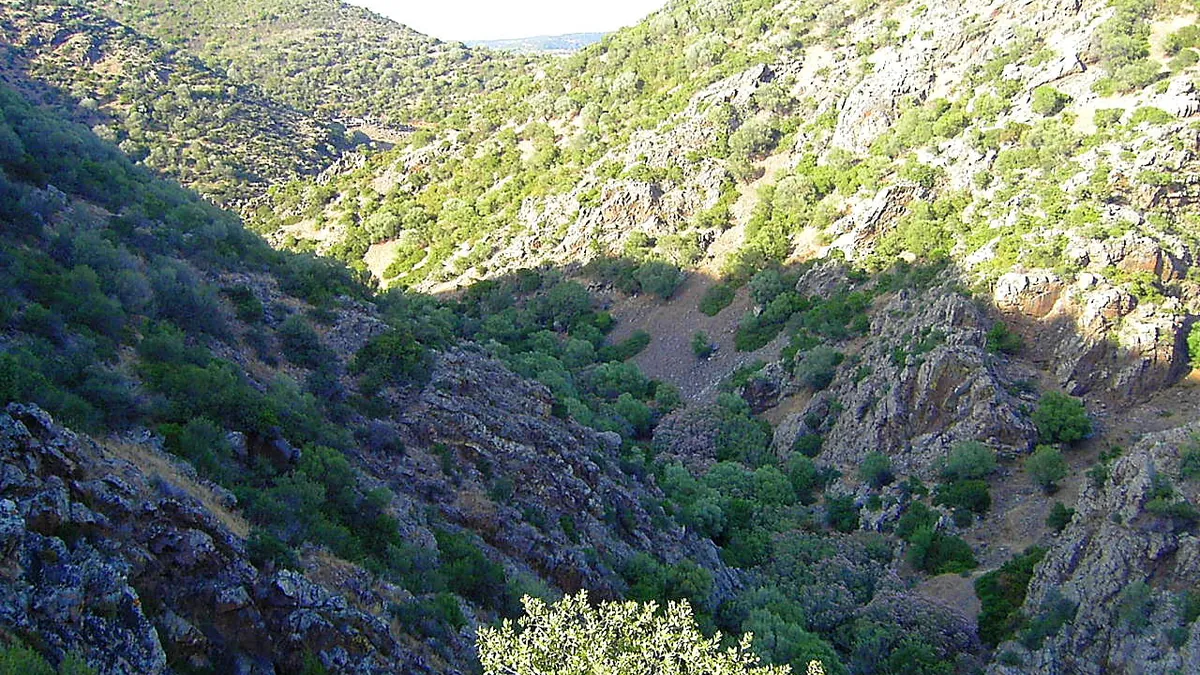 Veduta di Donori