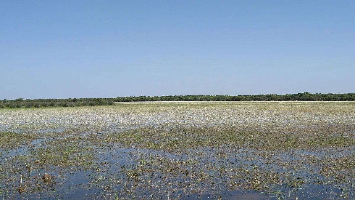Veduta di Palmas Arborea