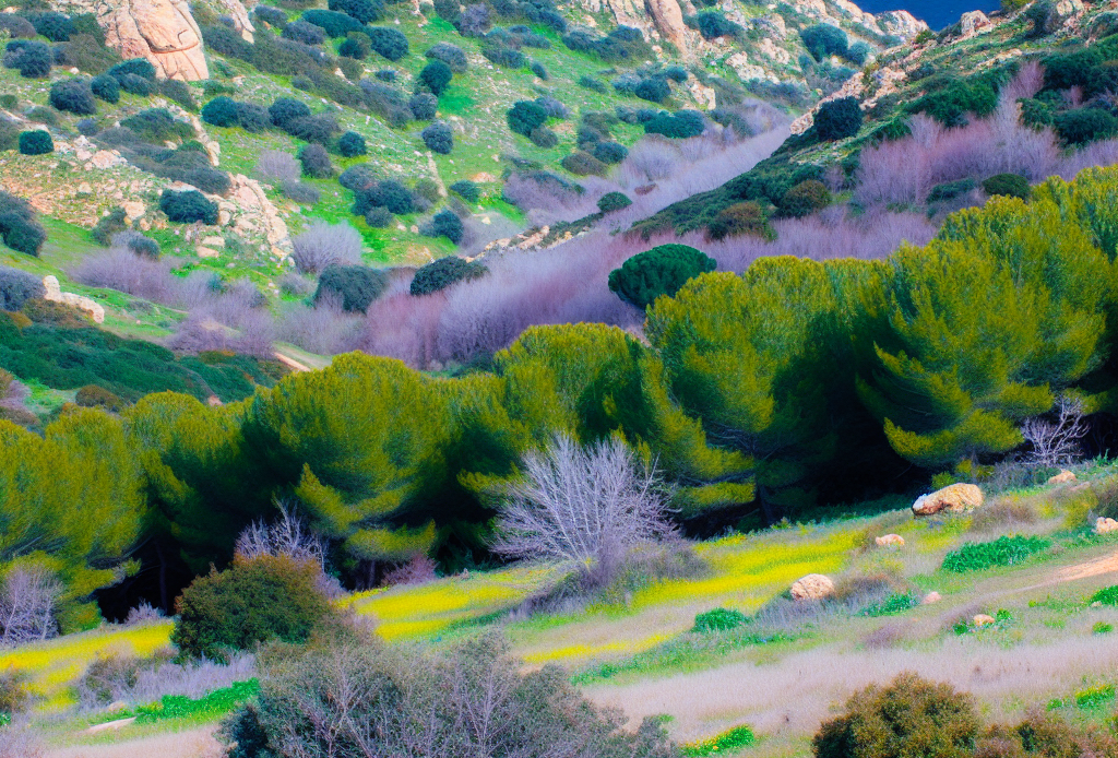 Pellet prestagionale Perfugas provincia di Sassari Vendita Pellet Perfugas