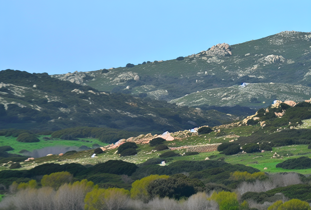 Pellet prestagionale Iglesias provincia di Sud Sardegna Vendita Pellet Iglesias