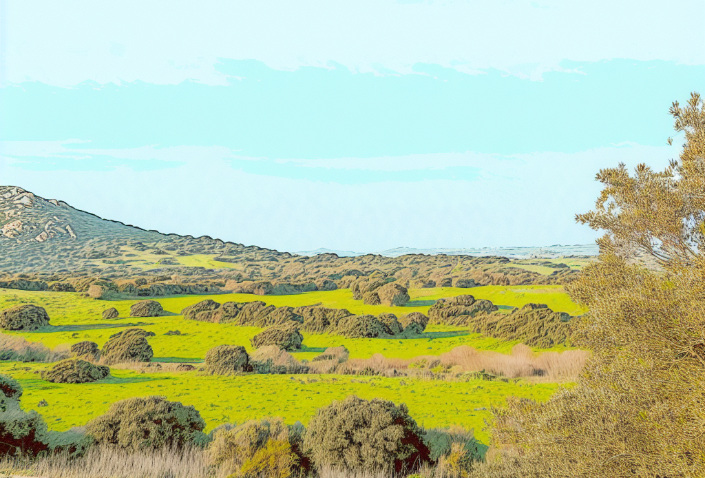 Pellet prestagionale Alà dei Sardi provincia di Sassari Vendita Pellet Alà dei Sardi